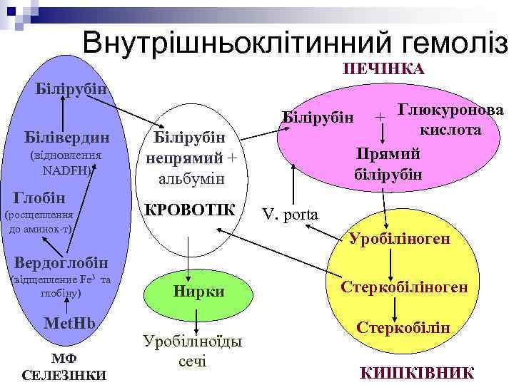 Внутрішньоклітинний гемоліз ПЕЧІНКА Білірубін Білівердин (відновлення NADFH) Глобін (росщеплення до аминок-т) Білірубін непрямий +