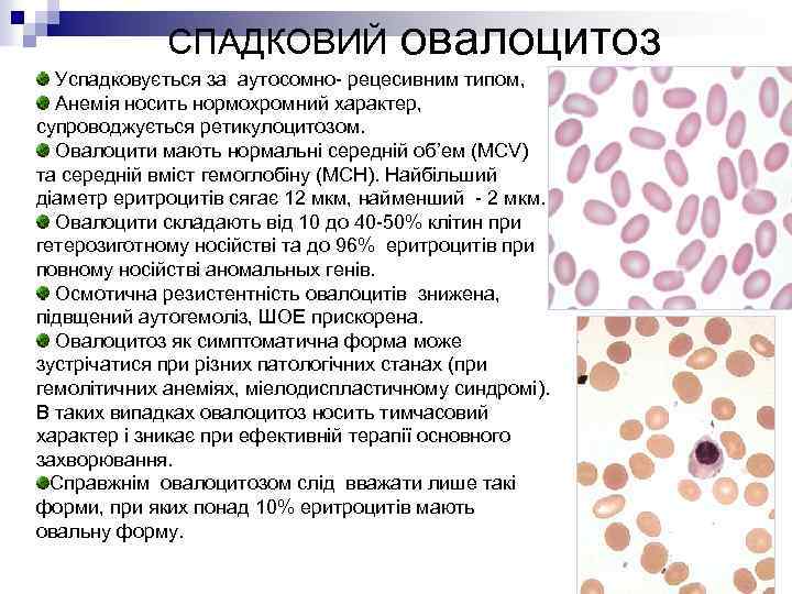 СПАДКОВИЙ овалоцитоз Успадковується за аутосомно- рецесивним типом, Анемія носить нормохромний характер, супроводжується ретикулоцитозом. Овалоцити