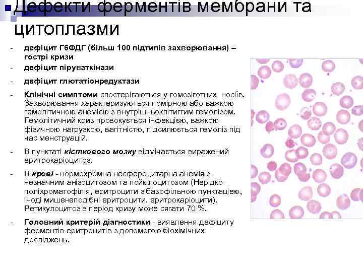 Дефекти ферментів мембрани та цитоплазми - дефіцит Г 6 ФДГ (більш 100 підтипів захворювання)