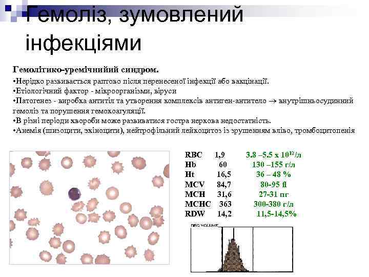 Гемоліз, зумовлений інфекціями Гемолітико-уремічнийий синдром. • Нерідко развивається раптово після перенесеної інфекції або вакцінації.