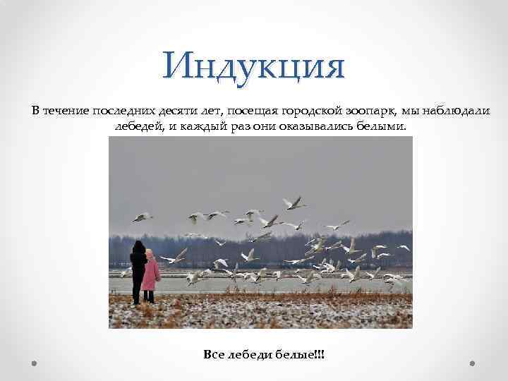 Индукция В течение последних десяти лет, посещая городской зоопарк, мы наблюдали лебедей, и каждый