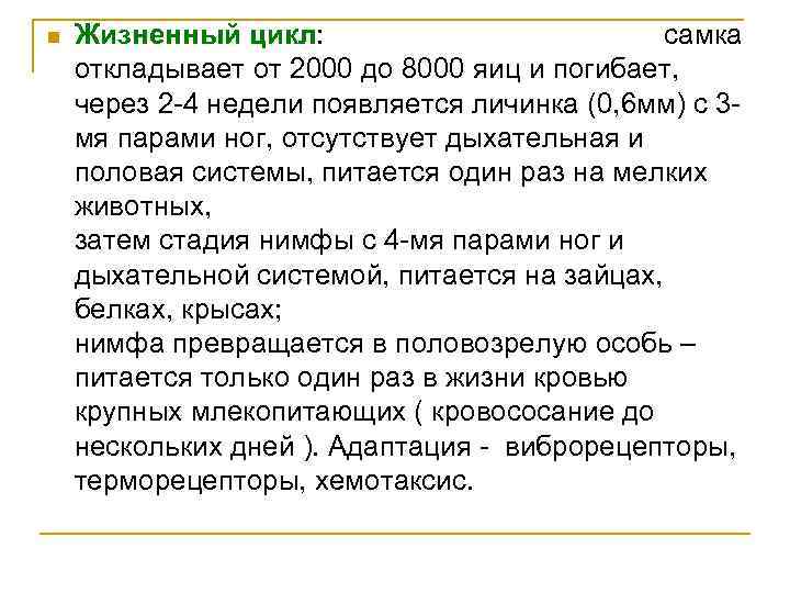  Жизненный цикл: самка откладывает от 2000 до 8000 яиц и погибает, через 2