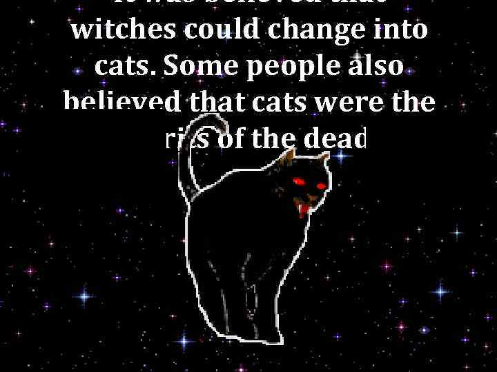 It was believed that witches could change into cats. Some people also believed that