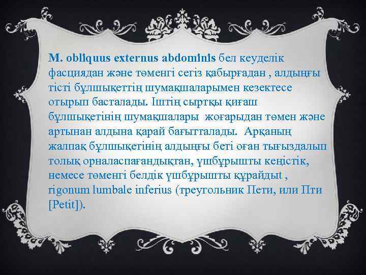 М. obliquus externus abdominis бел кеуделік фасциядан және төменгі сегіз қабырғадан , алдыңғы тісті