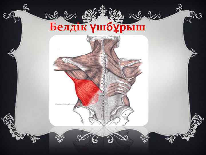 Белдік үшбұрыш 