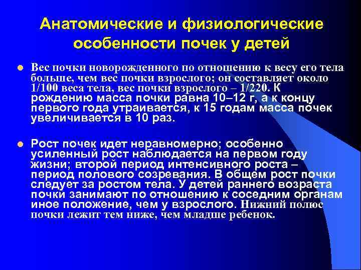Анатомические и физиологические особенности почек у детей l l Вес почки новорожденного по отношению