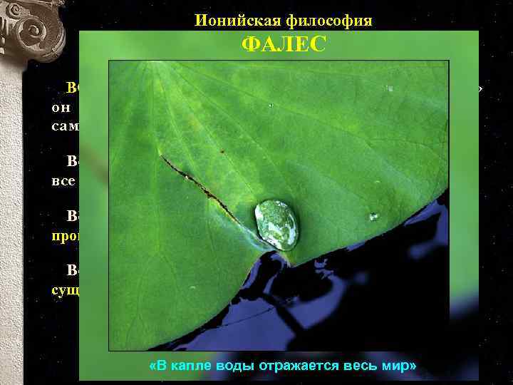 Ионийская философия ФАЛЕС ВОДА - вот такое начало, полагает. Фалес; под «водой» он понимает