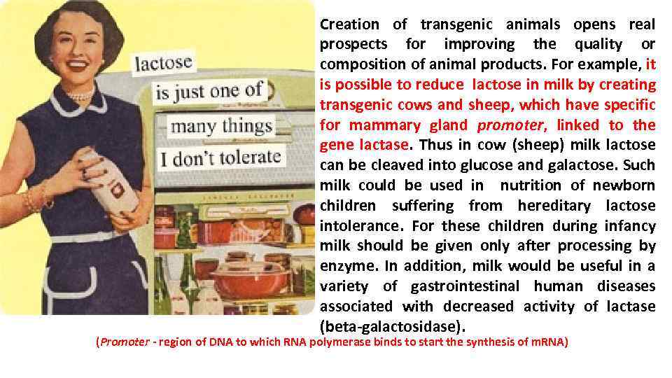 Creation of transgenic animals opens real prospects for improving the quality or composition of