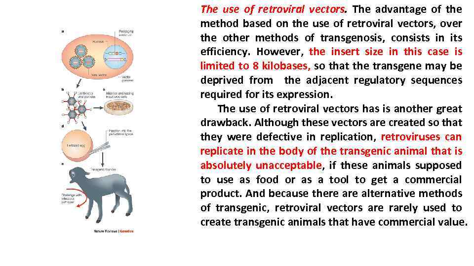 The use of retroviral vectors. The advantage of the method based on the use