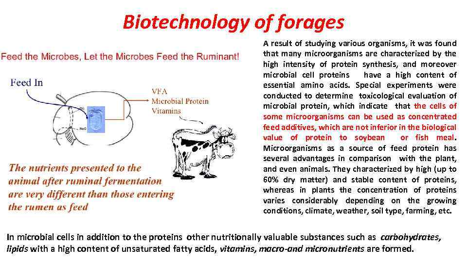 Biotechnology of forages A result of studying various organisms, it was found that many