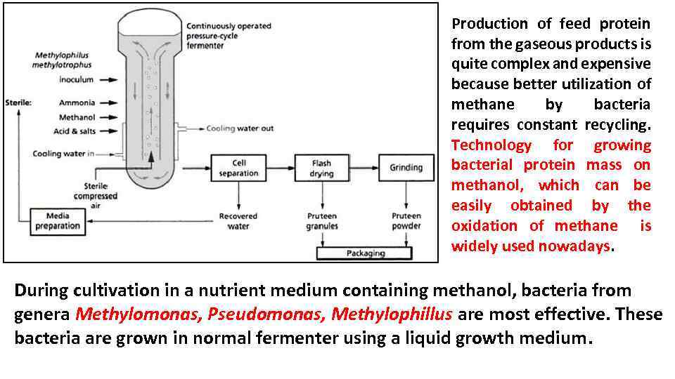 Production of feed protein from the gaseous products is quite complex and expensive because