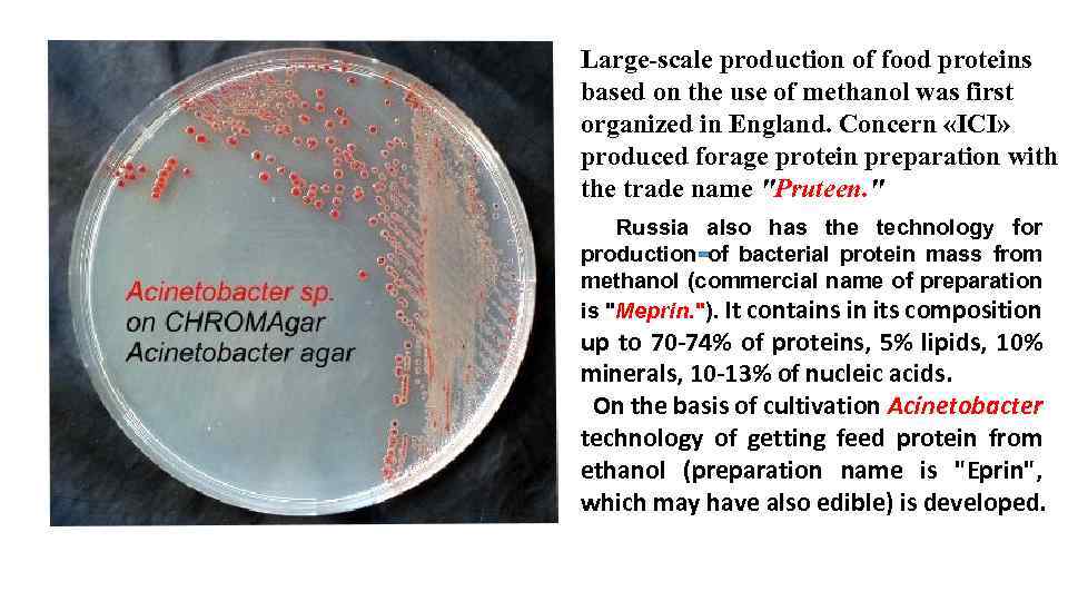 Large-scale production of food proteins based on the use of methanol was first organized