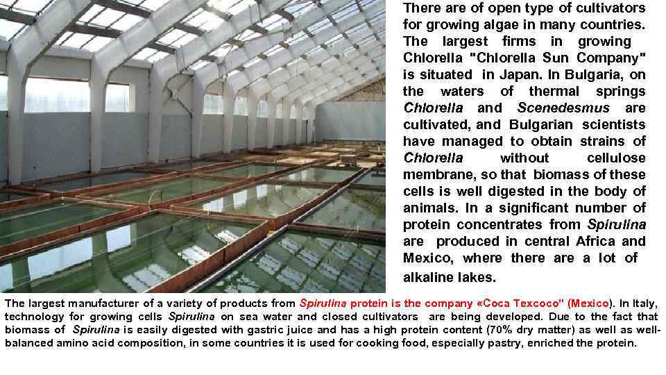 There are of open type of cultivators for growing algae in many countries. The