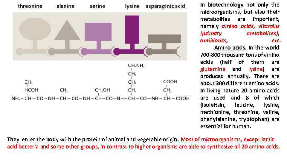 In biotechnology not only the microorganisms, but also their metabolites are important, namely amino