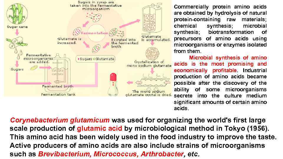 Commercially protein amino acids are obtained by hydrolysis of natural protein-containing raw materials; chemical