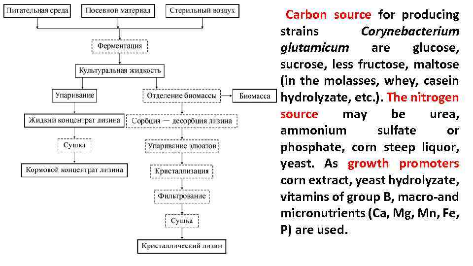 Carbon source for producing strains Corynebacterium glutamicum are glucose, sucrose, less fructose, maltose (in