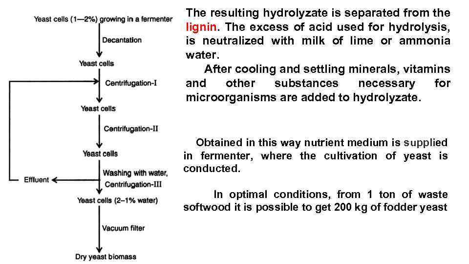 The resulting hydrolyzate is separated from the lignin. The excess of acid used for