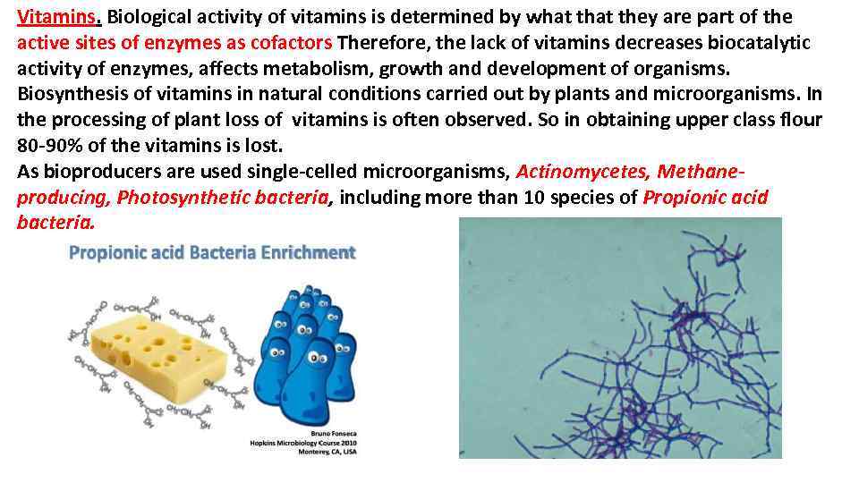 Vitamins. Biological activity of vitamins is determined by what they are part of the