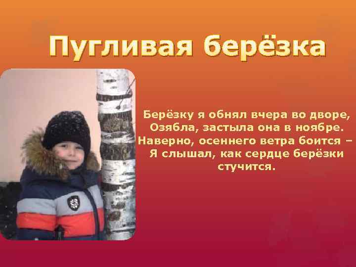 Пугливая берёзка Берёзку я обнял вчера во дворе, Озябла, застыла она в ноябре. Наверно,