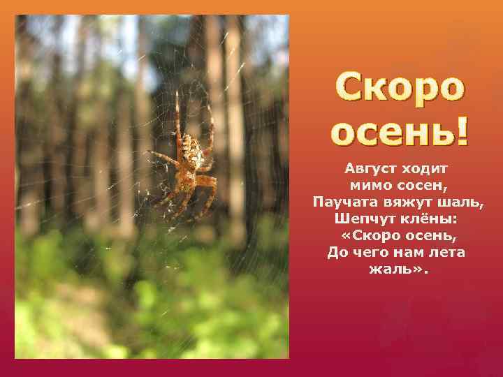 Скоро господа