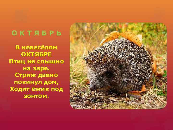 О К Т Я Б Р Ь В невесёлом ОКТЯБРЕ Птиц не слышно на