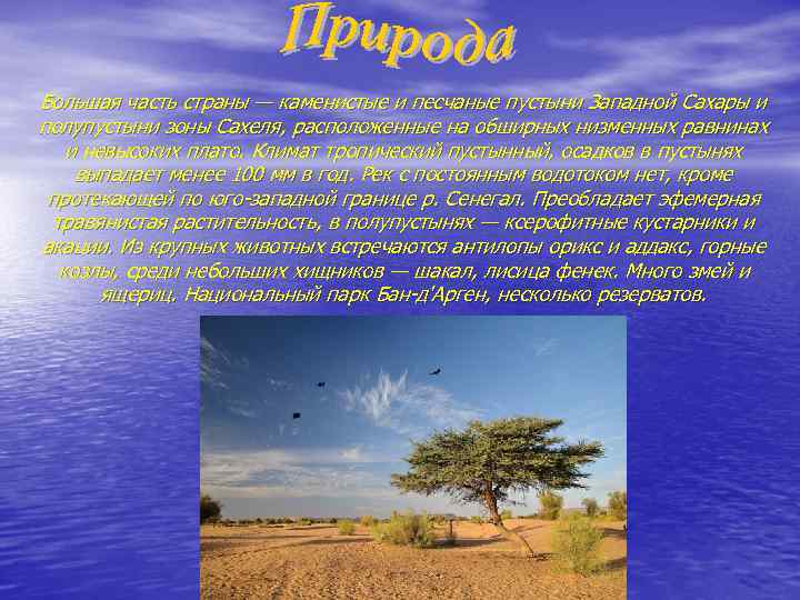 Большая часть страны — каменистые и песчаные пустыни Западной Сахары и полупустыни зоны Сахеля,