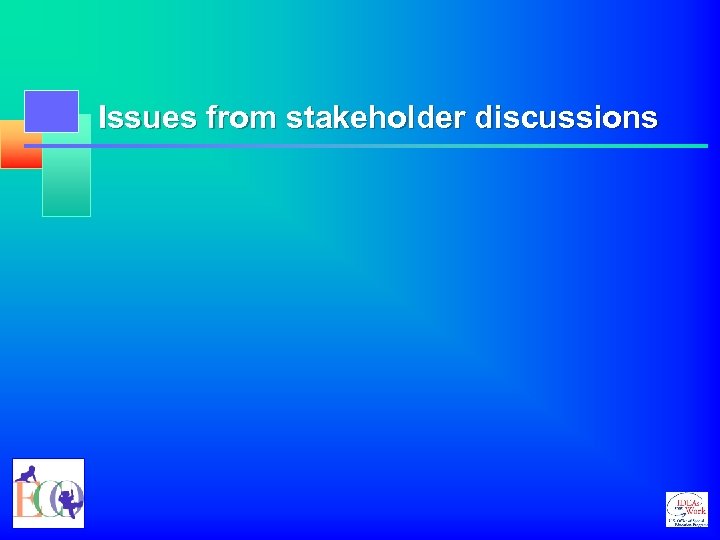 Issues from stakeholder discussions 