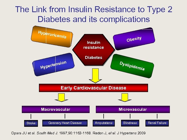 The Link from Insulin Resistance to Type 2 Diabetes and its complications Hyperu ricemi
