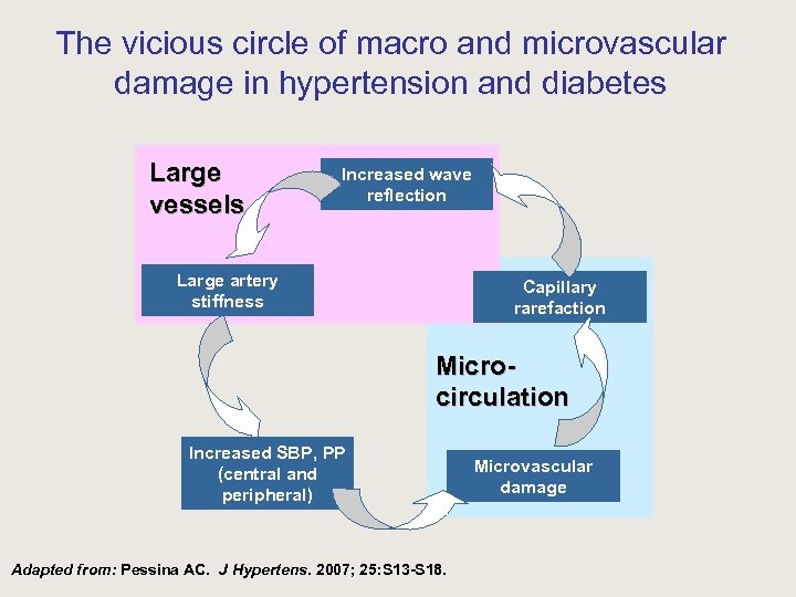 The vicious circle of macro and microvascular damage in hypertension and diabetes Large vessels