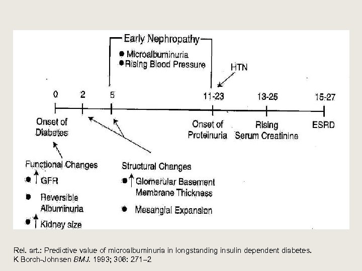 Rel. art. : Predictive value of microalbuminuria in longstanding insulin dependent diabetes. K Borch-Johnsen
