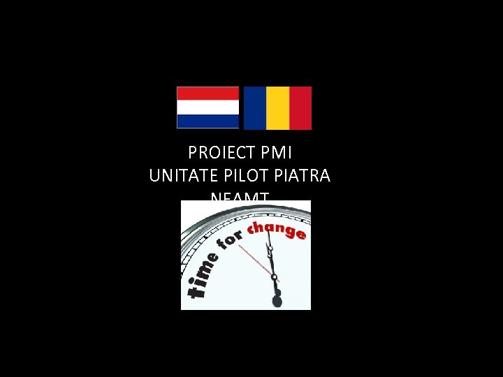 PROIECT PMI UNITATE PILOT PIATRA NEAMȚ 