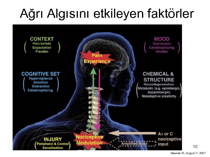 Ağrı Algısını etkileyen faktörler 10 