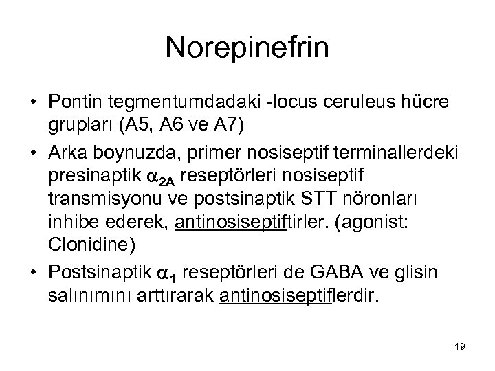 Norepinefrin • Pontin tegmentumdadaki -locus ceruleus hücre grupları (A 5, A 6 ve A