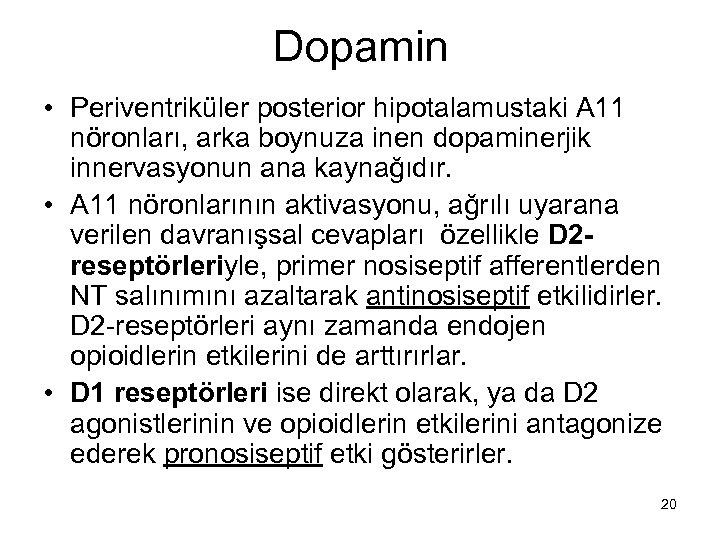 Dopamin • Periventriküler posterior hipotalamustaki A 11 nöronları, arka boynuza inen dopaminerjik innervasyonun ana