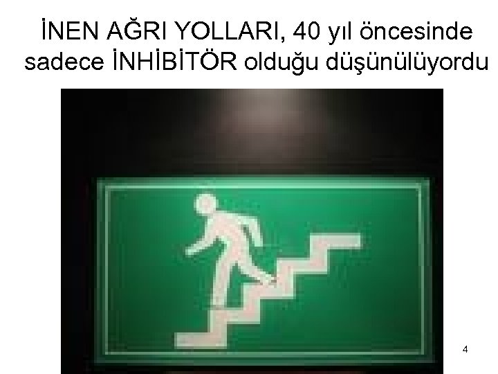 İNEN AĞRI YOLLARI, 40 yıl öncesinde sadece İNHİBİTÖR olduğu düşünülüyordu 4 