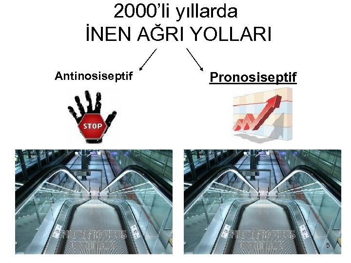2000’li yıllarda İNEN AĞRI YOLLARI Antinosiseptif Pronosiseptif 5 