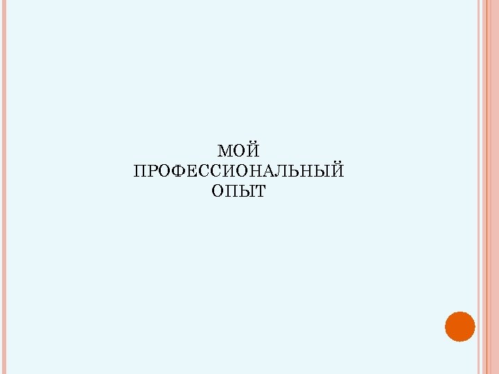 МОЙ ПРОФЕССИОНАЛЬНЫЙ ОПЫТ 