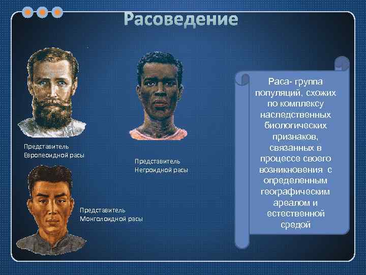 Расоведение Представитель Европеоидной расы Представитель Негроидной расы Представитель Монголоидной расы Раса- группа популяций, схожих