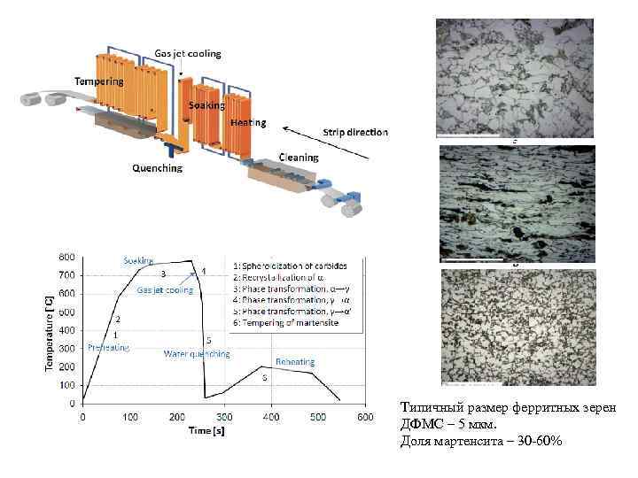 Типичный размер ферритных зерен ДФМС – 5 мкм. Доля мартенсита – 30 -60% 