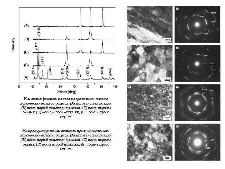 Изменения фазового состава во время циклического термомеханического процесса: (А) после аустенитизации; (B) после первой