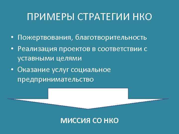 ПРИМЕРЫ СТРАТЕГИИ НКО • Пожертвования, благотворительность • Реализация проектов в соответствии с уставными целями