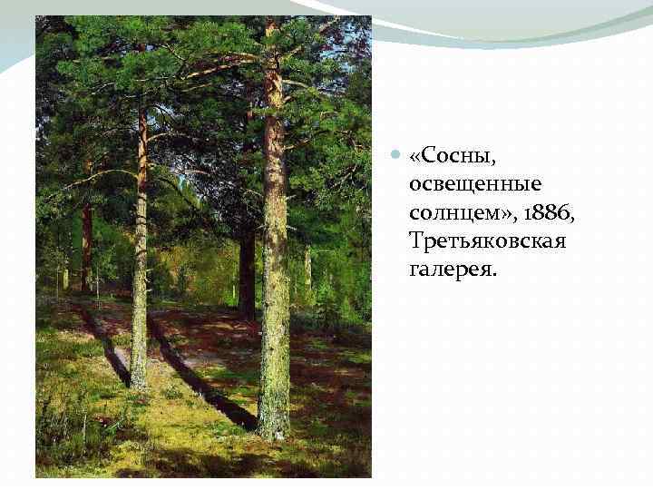  «Сосны, освещенные солнцем» , 1886, Третьяковская галерея. 