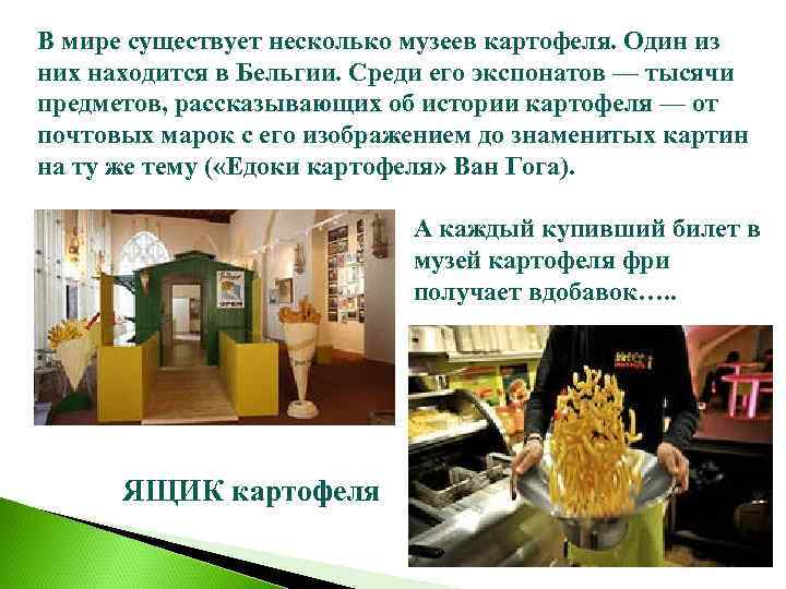 В мире существует несколько музеев картофеля. Один из них находится в Бельгии. Среди его