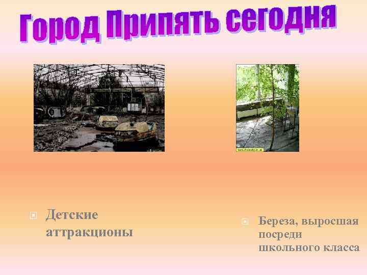  Детские аттракционы Береза, выросшая посреди школьного класса 