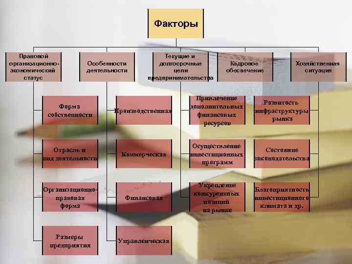 Факторы Правовой организационноэкономический статус Особенности деятельности Текущие и долгосрочные цели предпринимательства Кадровое обеспечение Хозяйственная