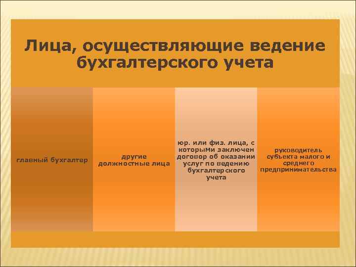 Лица, осуществляющие ведение бухгалтерского учета главный бухгалтер другие должностные лица юр. или физ. лица,