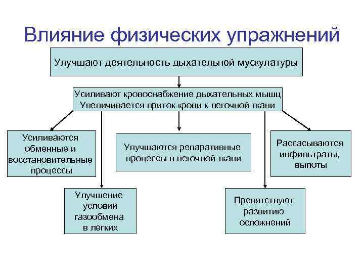 Влияние физических упражнений Улучшают деятельность дыхательной мускулатуры Усиливают кровоснабжение дыхательных мышц Увеличивается приток крови