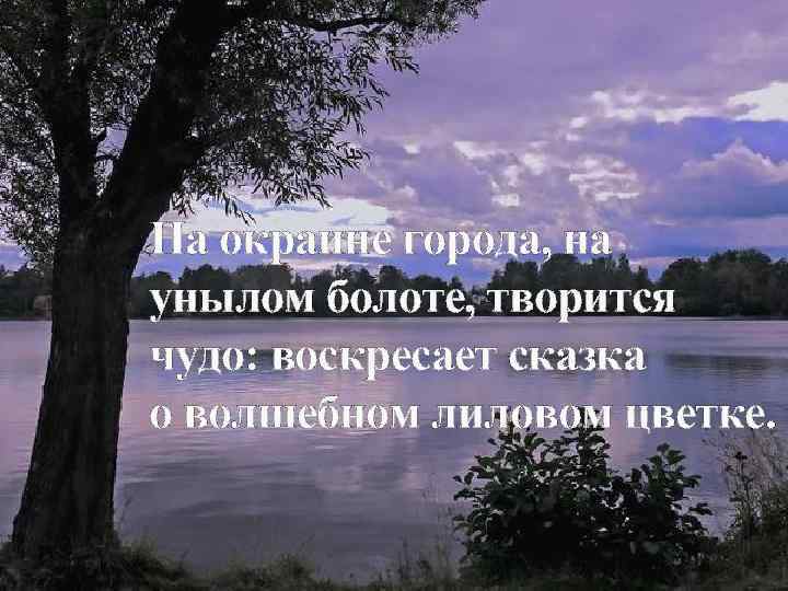 На окраине города, на унылом болоте, творится чудо: воскресает сказка о волшебном лиловом цветке.