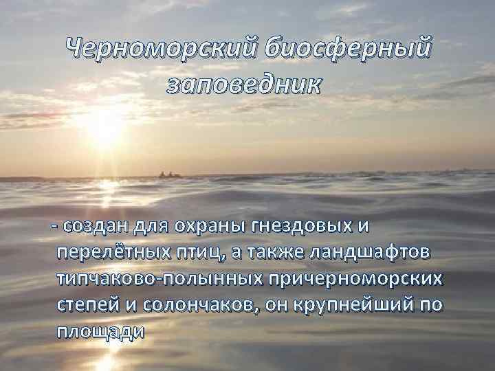 Черноморский биосферный заповедник - создан для охраны гнездовых и перелётных птиц, а также ландшафтов