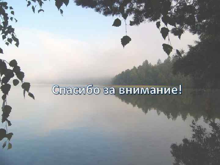 Спасибо за внимание! 